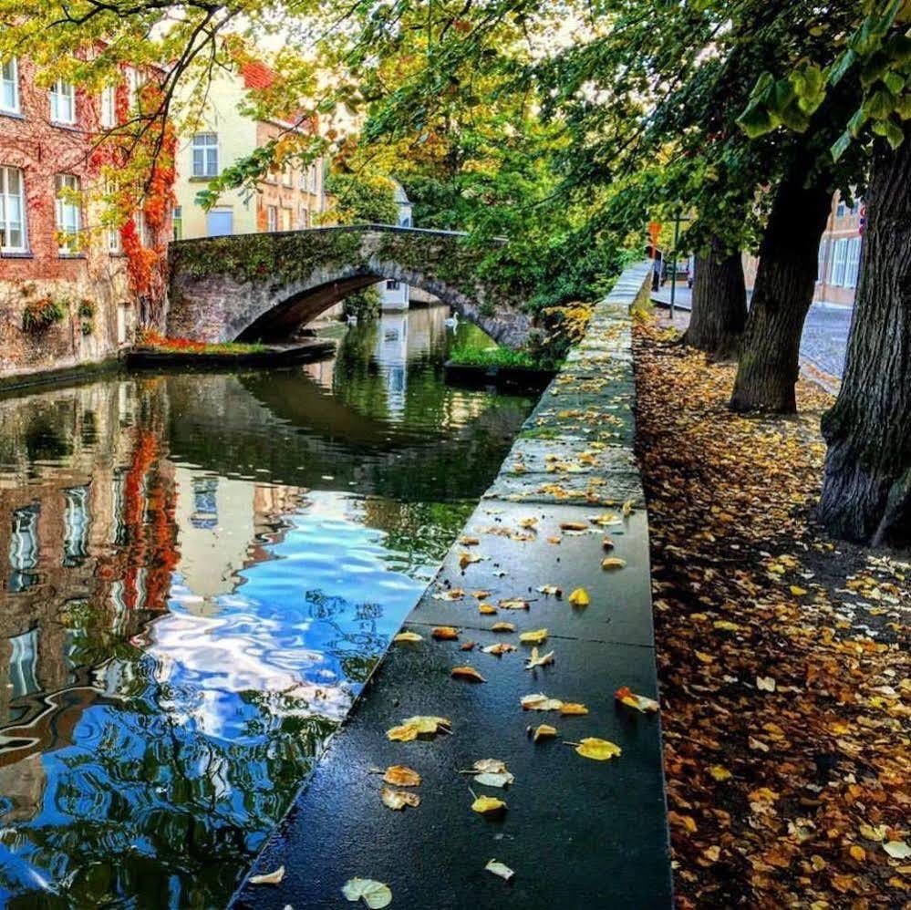 Guesthouse Dijver - Serene Escape In The Heart Of Historic Brygge Exteriör bild